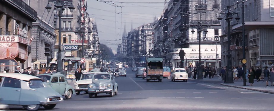 Jojo Camilleri tweet media