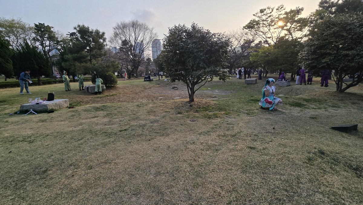 붉은혜성겨울 tweet media