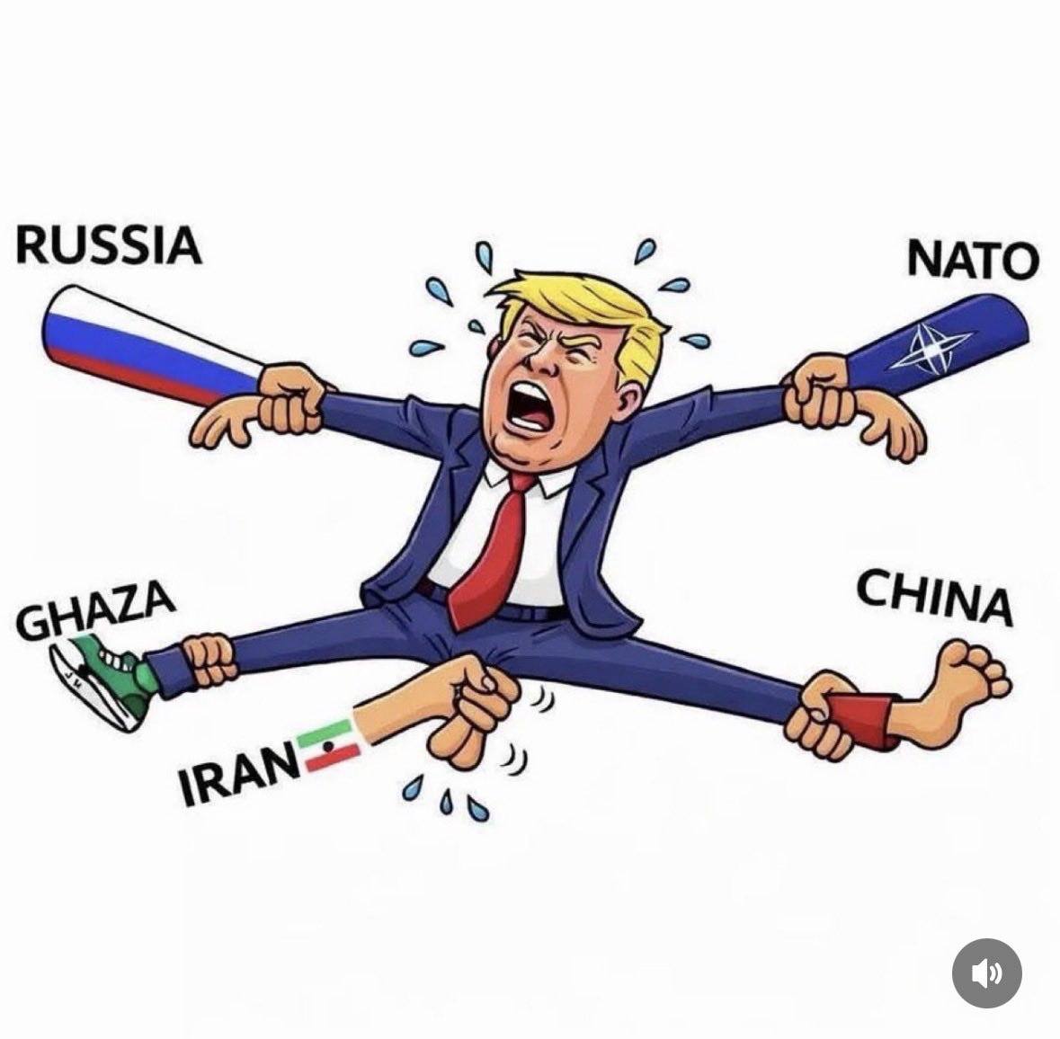 Abbas P. tweet media