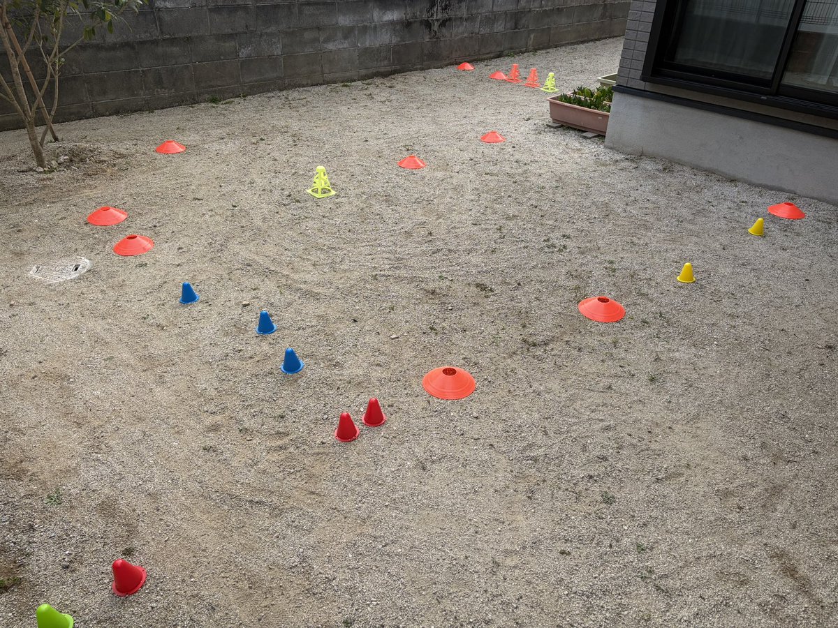 𝗧𝗼𝗻𝗲 🇮🇹 tweet media