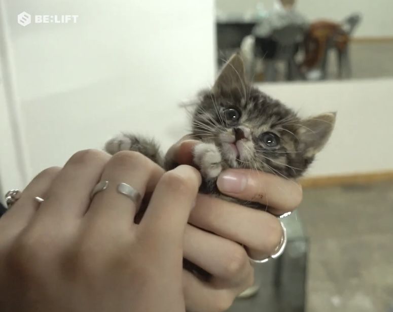 𝒴una! ★ ENHYPEN IS 7 tweet media