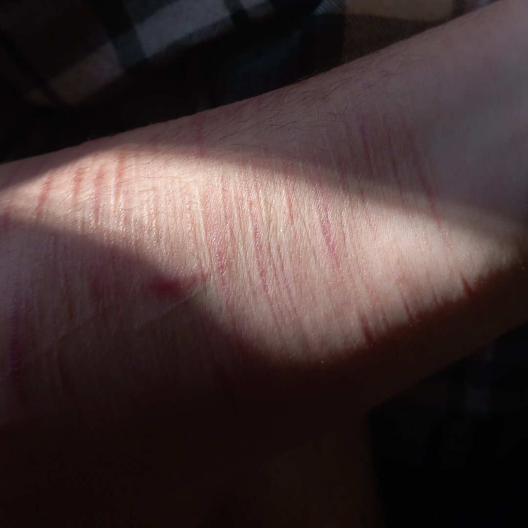 DАИИY tweet media