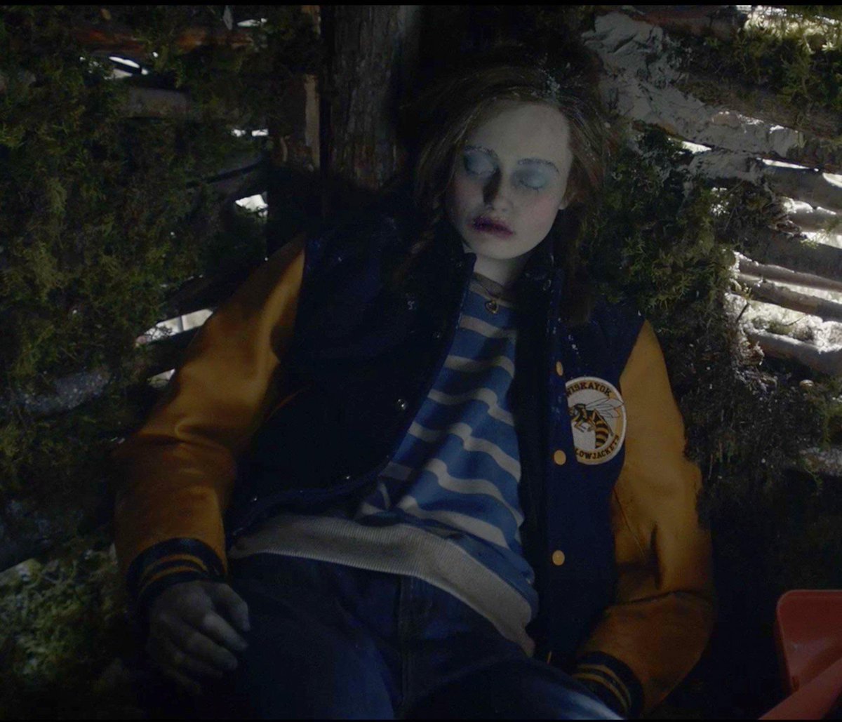 Brooke Dubek publicity/activism updates tweet media