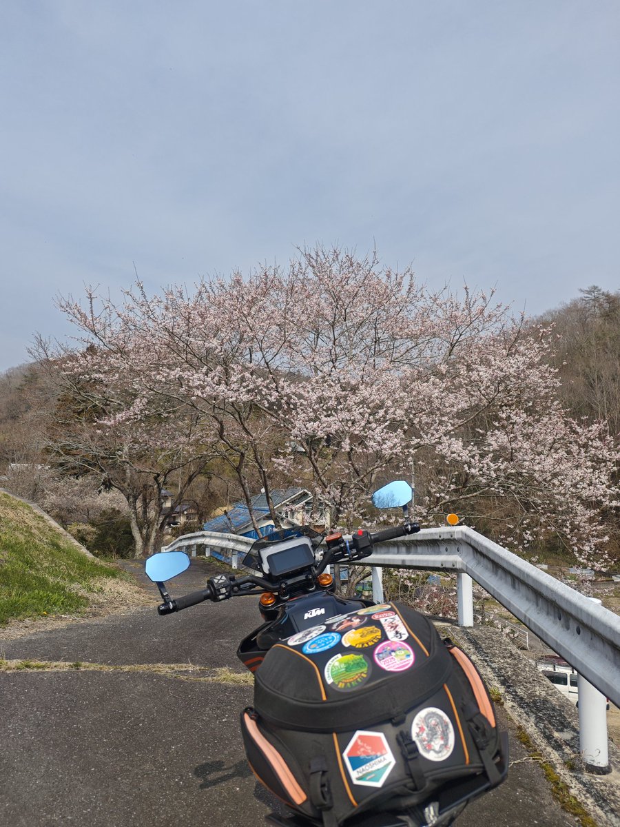 マエダ・マン🏍️💨 tweet media