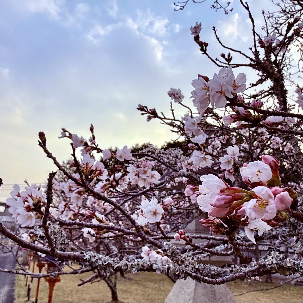 和気町ファンクラブ【公式】✨入会無料✨ tweet media