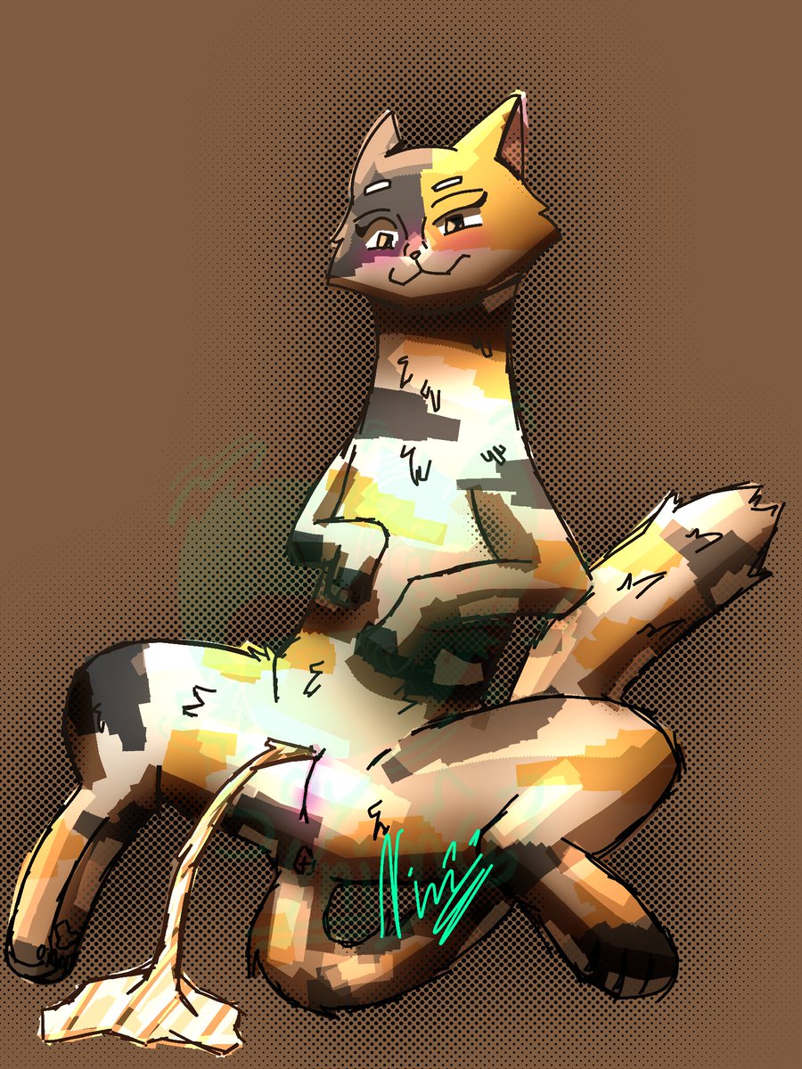 ๐พ๐ผ๐ง๐๐ โ๐๐๐๐ tweet media