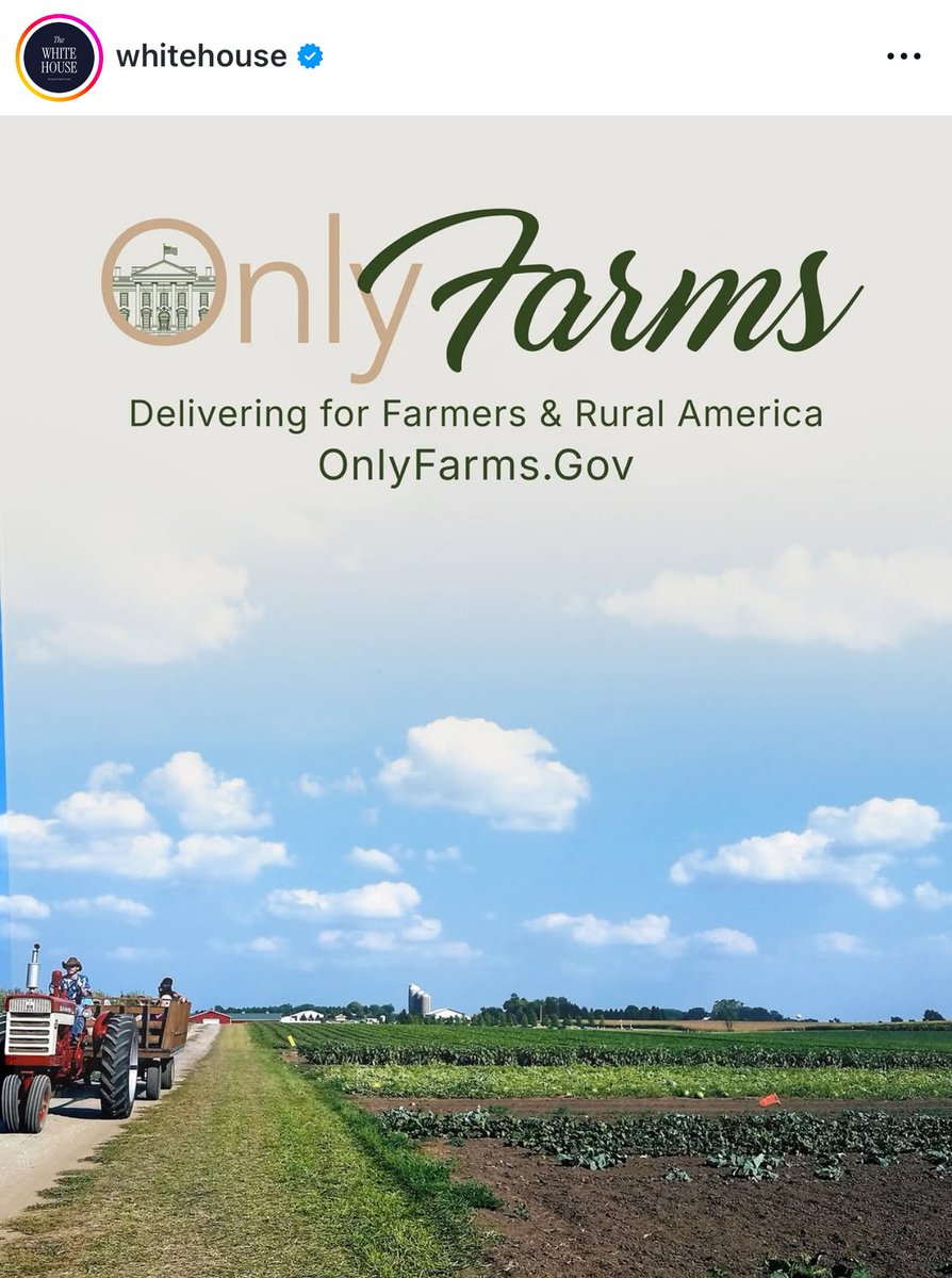 EtFelicitoFill tweet media