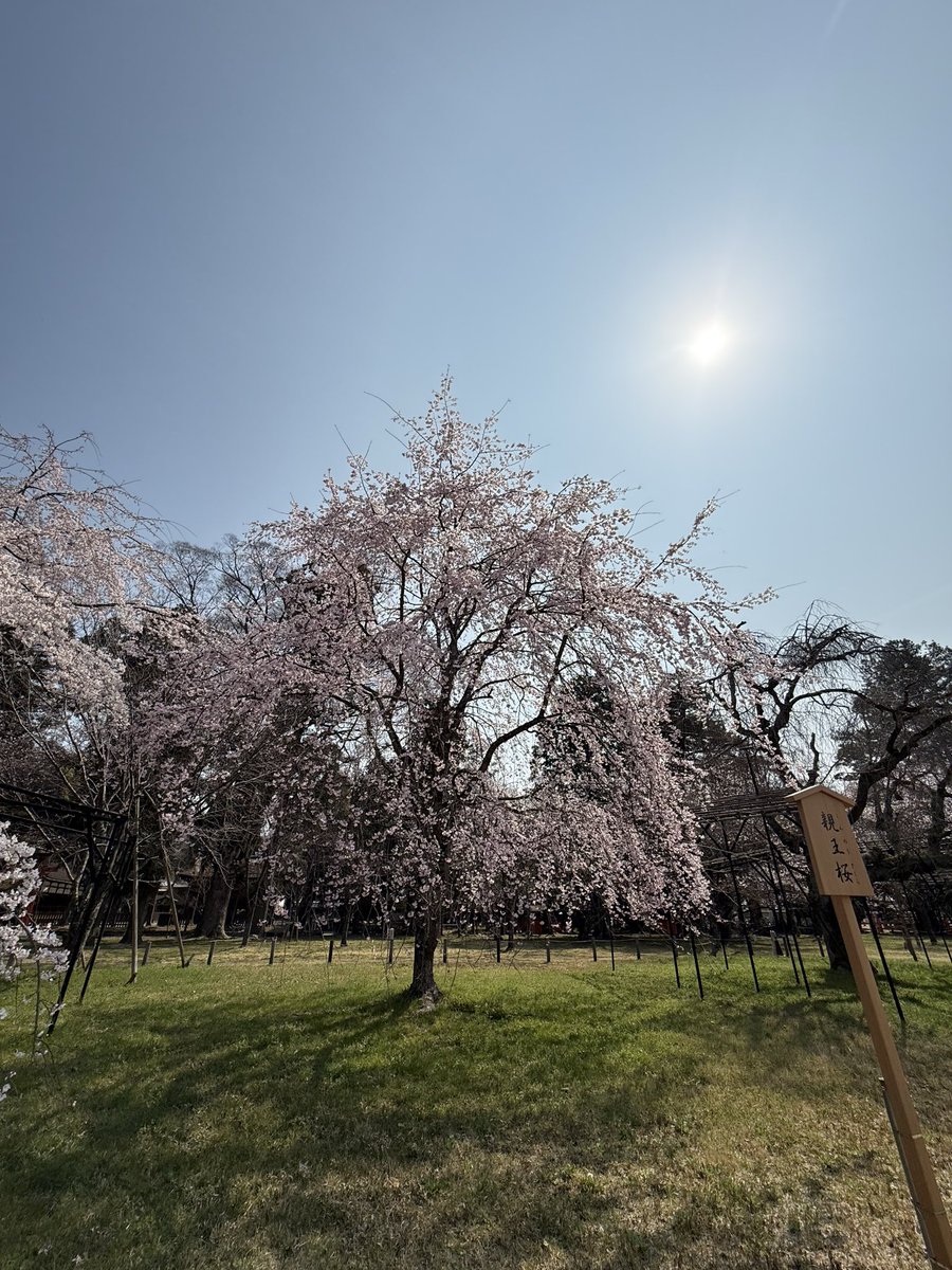 Shiki_1111 tweet media