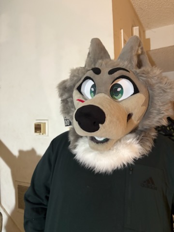 Fursuit Review tweet media