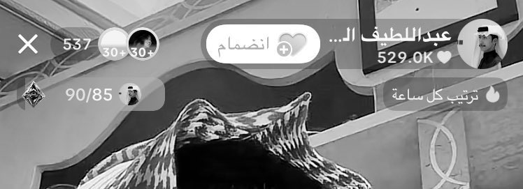 جووورري tweet media