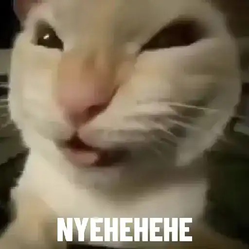 ๐ณ๐๐๐๐๐๐๐๐๐ ๐/3J tweet media