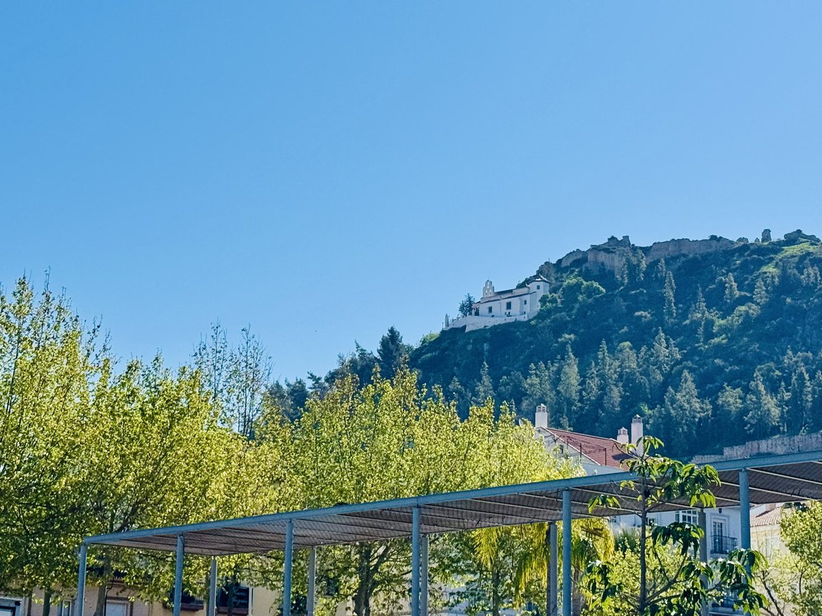 Jorge Gallardo tweet media