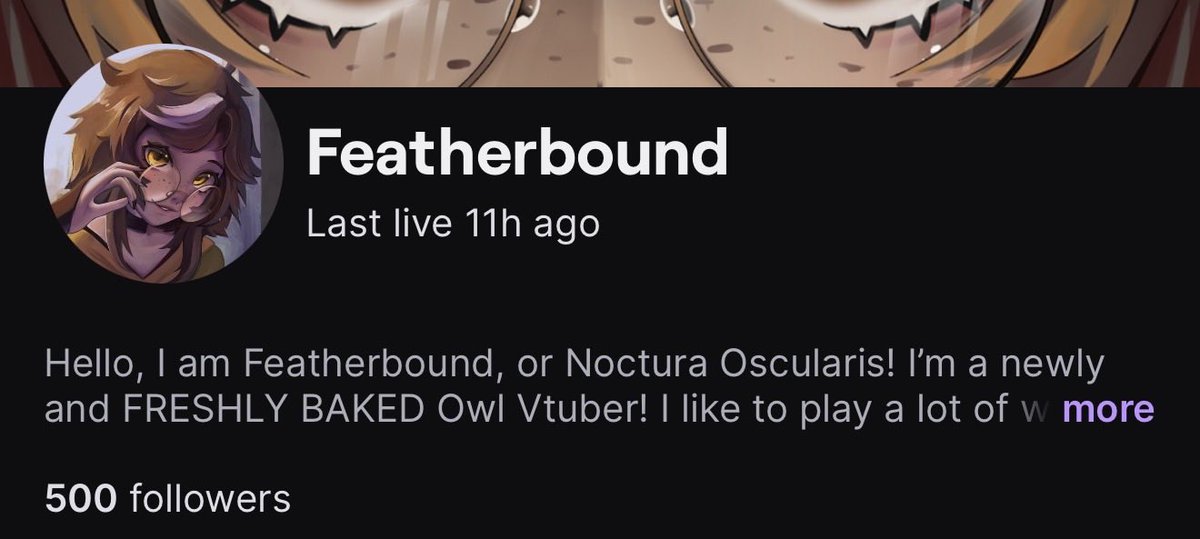 🦉🪄 Noctura Oscularis 🦉🪄 | Owl Librarian Vtuber tweet media