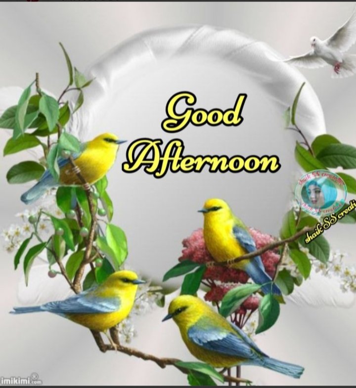Jairam275934's tweet photo. Very lovely good afternoon sabhi x family members ko aap sabhi ki noon bahut lovely and peaceful #NayeUPKiUdaan #NoidaInternationalAirport #dhirendrasinghjewar #PMModi #CMModi @myogiadityanath @narendramodi https://t.co/rO40HSVIAw