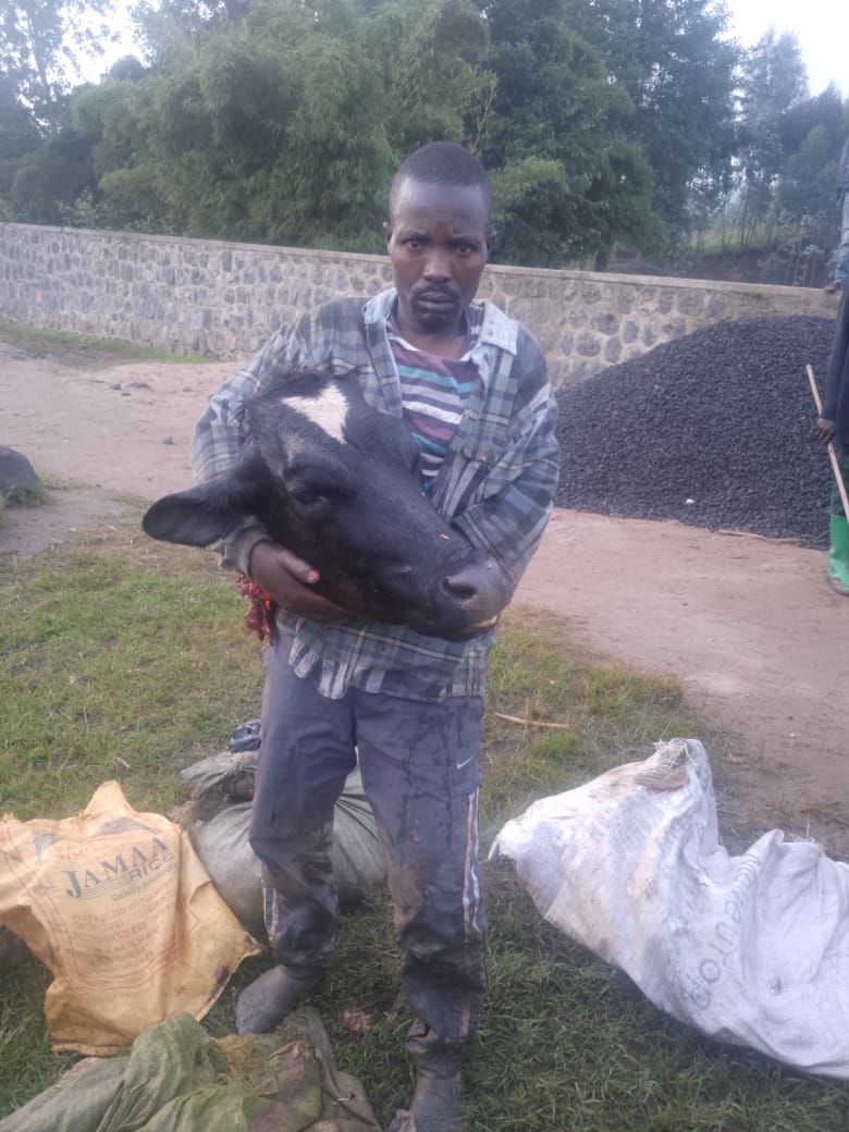 Oswald Oswakim tweet media