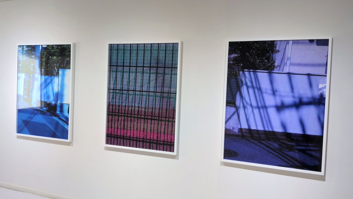 ちくわ Chikuwa tweet media