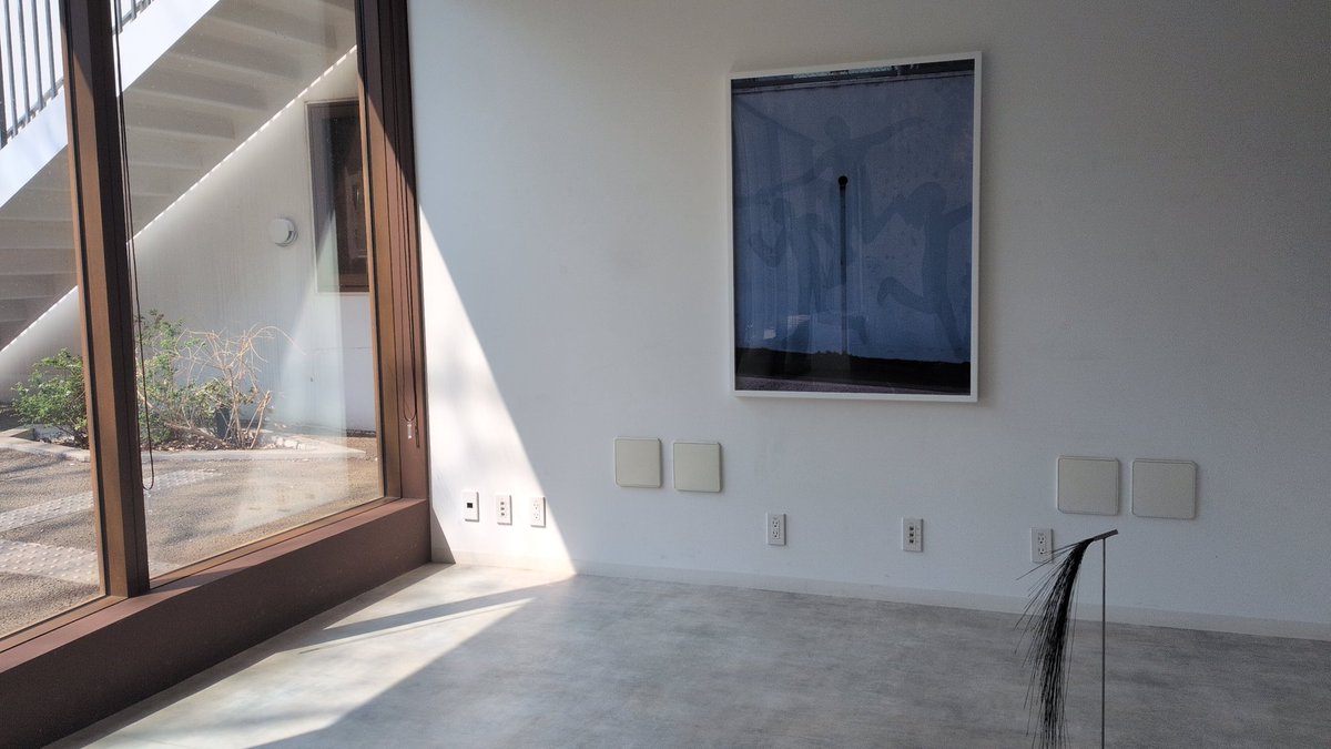 ちくわ Chikuwa tweet media