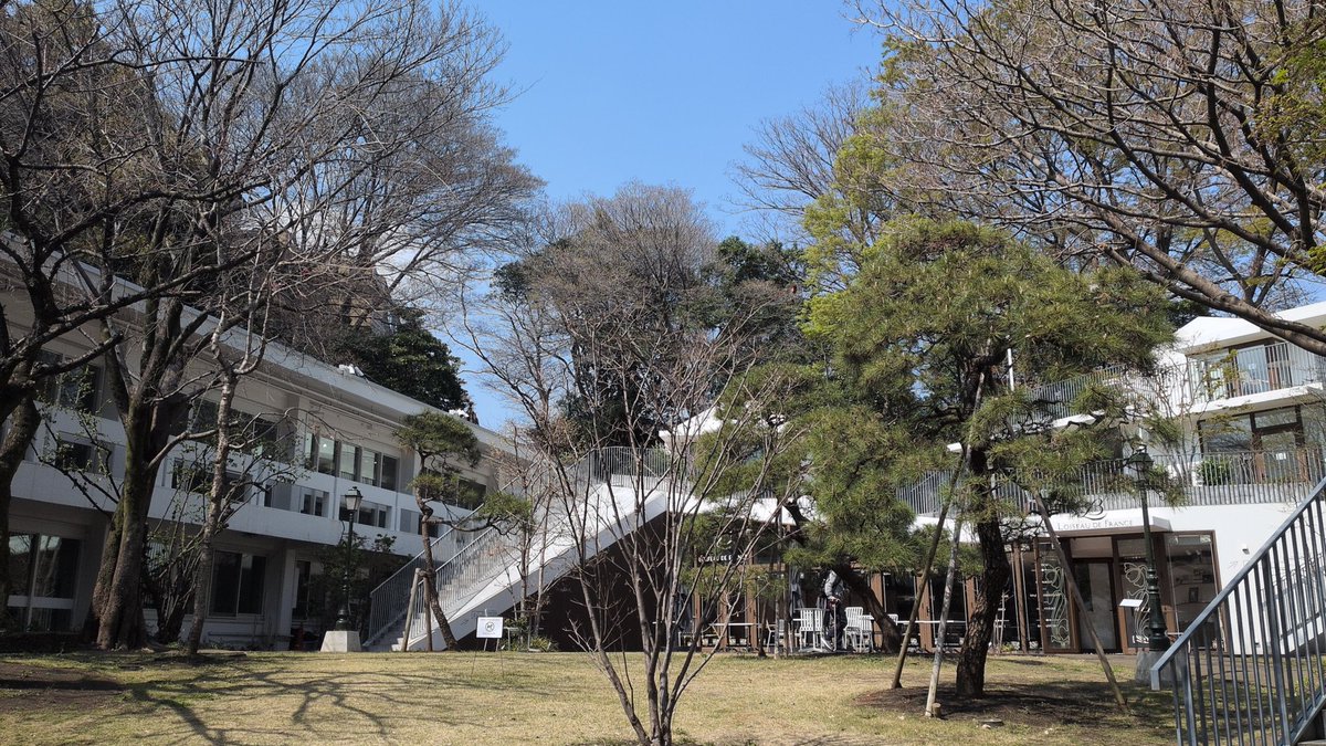 ちくわ Chikuwa tweet media