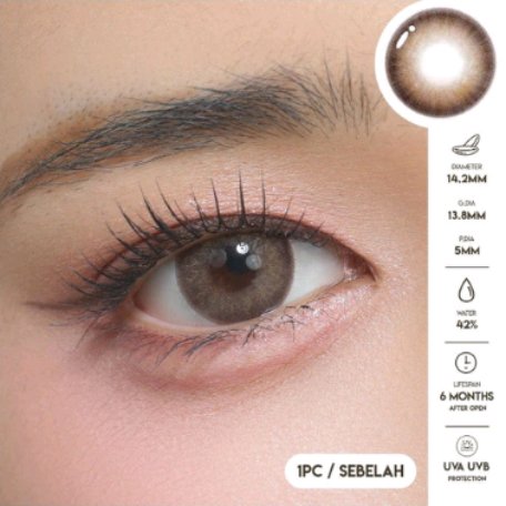 awca loves wonwoo| fb tweet media