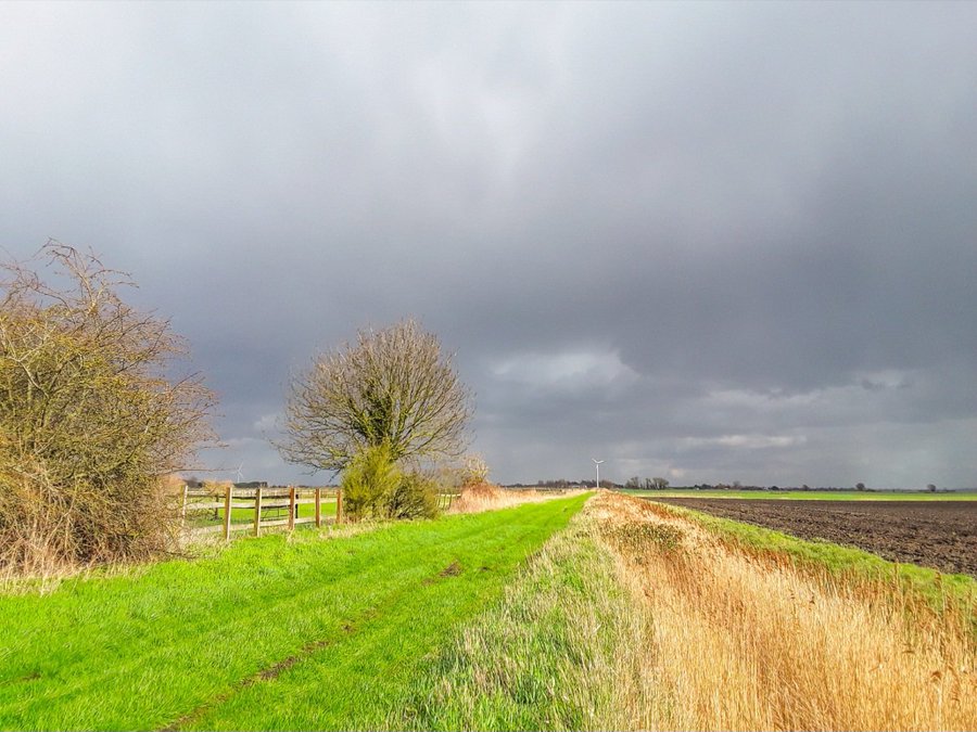 Steve Jackson tweet media