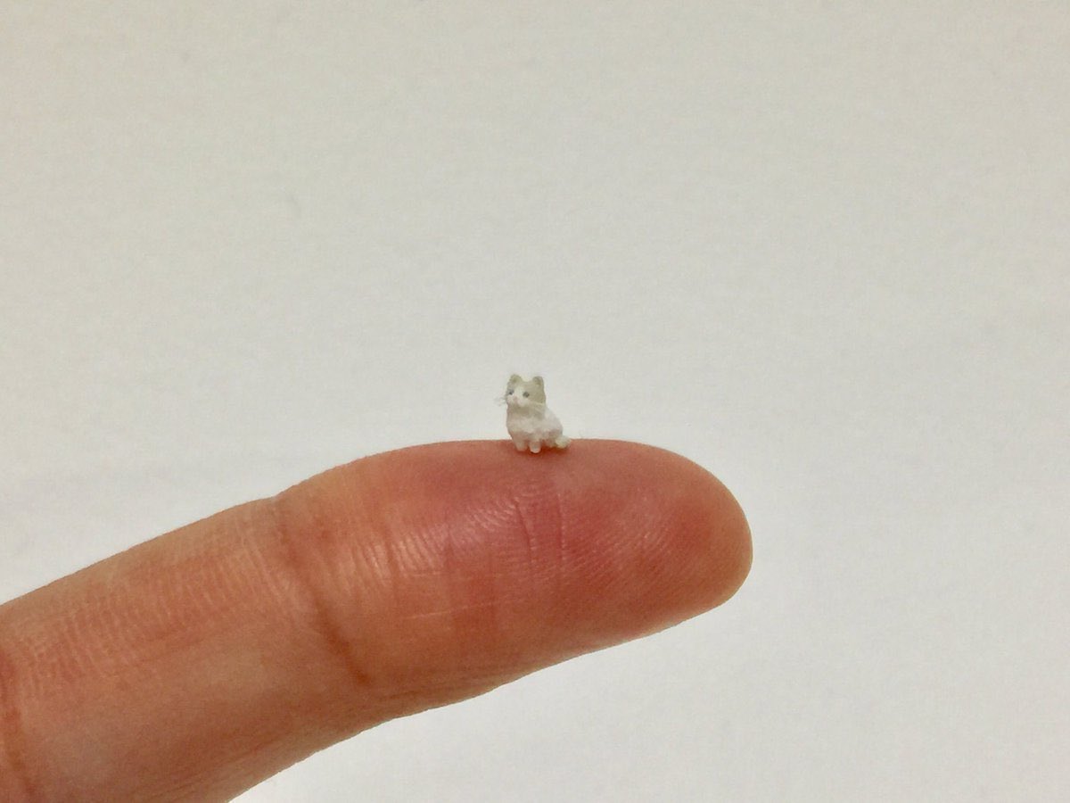 𝐭𝐞𝐧𝐭𝐡🐾ྀི tweet media