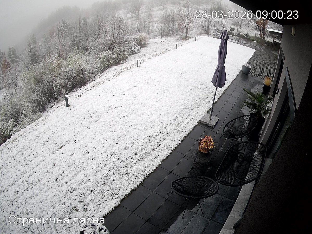 Cyril 🇧🇬🇪🇺 tweet media