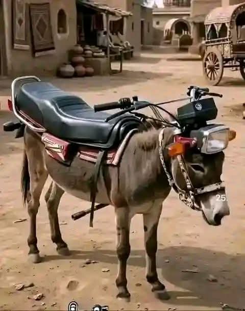 Edwin🇰🇪 tweet media