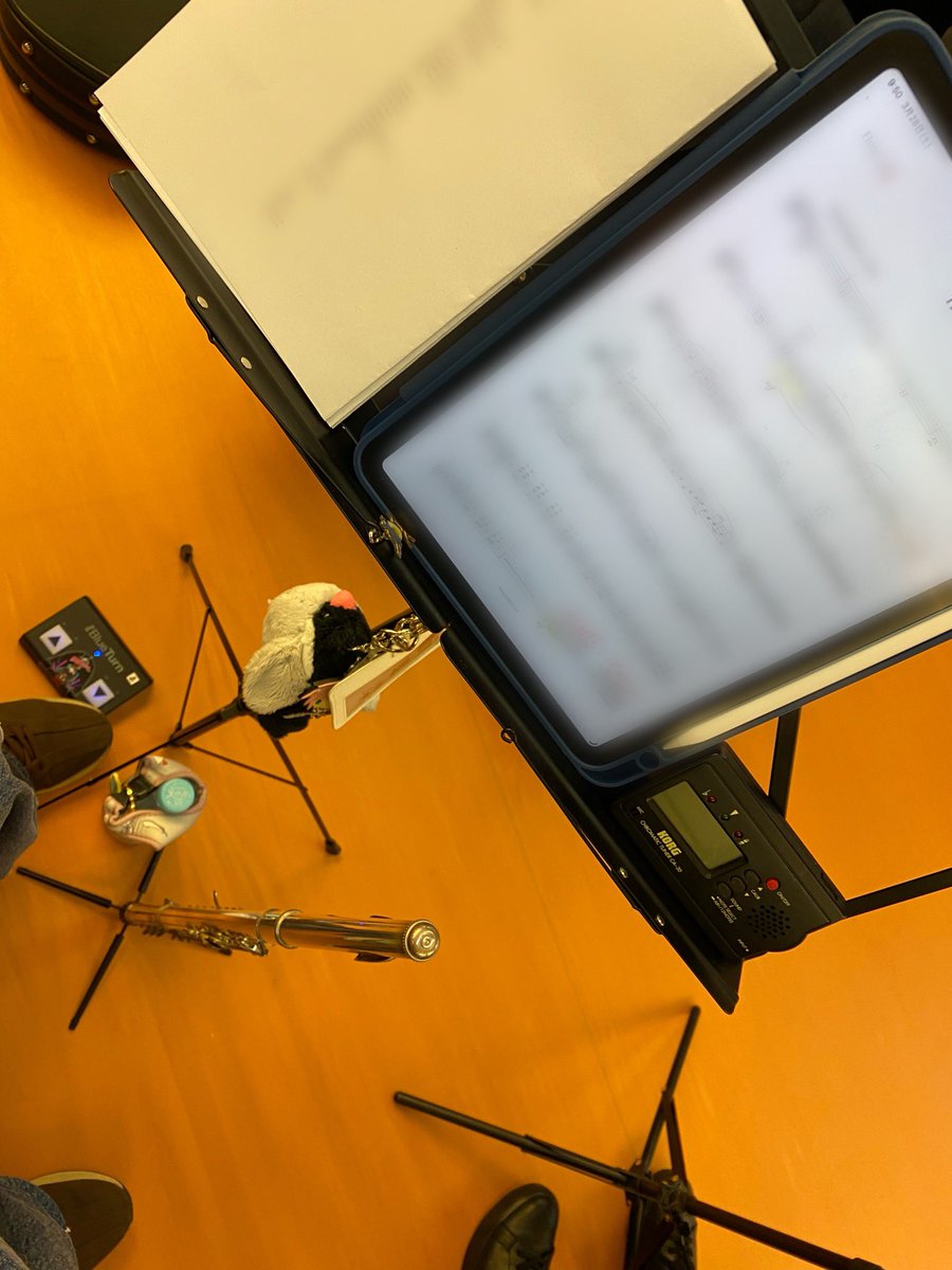 湊宮楓🥕ﾐﾅﾄﾐﾔｶｴﾃﾞ🐤 tweet media