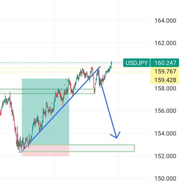 Sylvia Forex tweet media