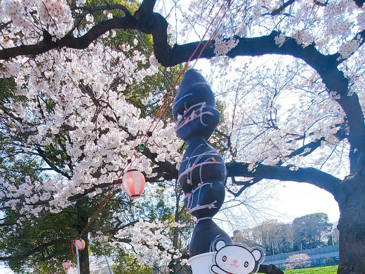 プラスちゃん【公式】 tweet media