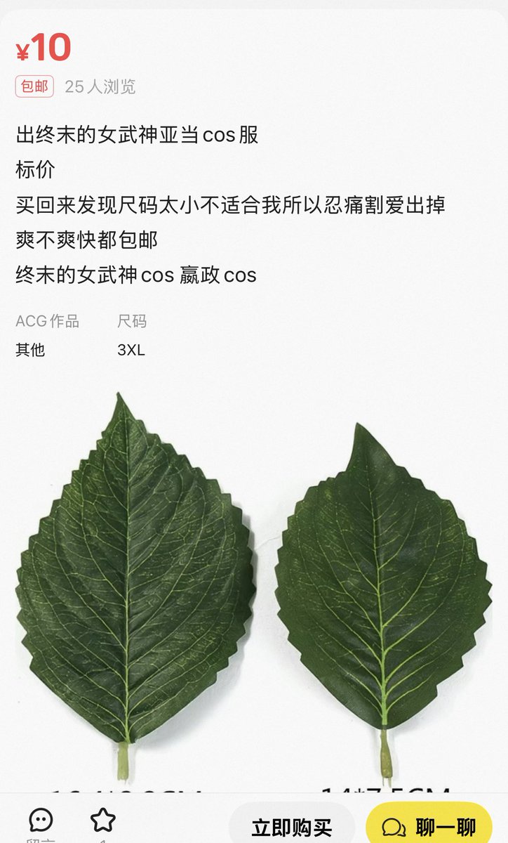 獭獭☃︎⋆꙳•❅ִ tweet media