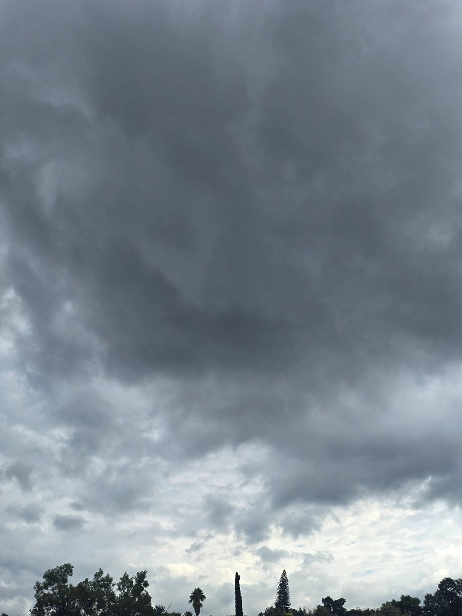 DME 🇳🇦 tweet media