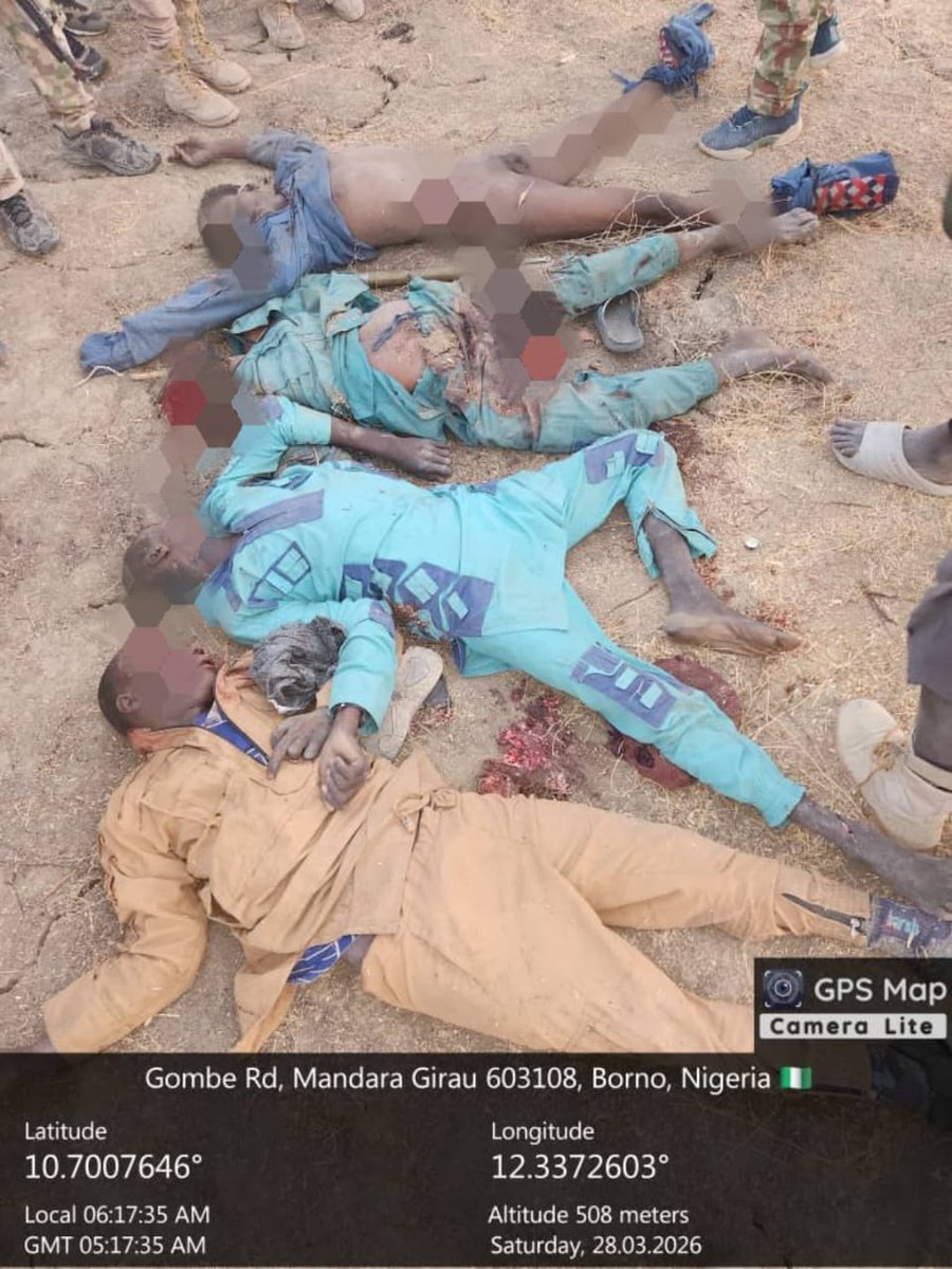 Daoptimist⚓🌊🔥✨ tweet media