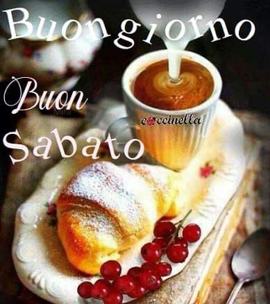 alessandra sposito tweet media