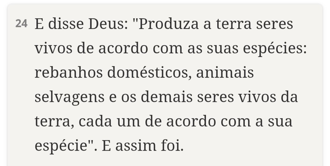 Estevão tweet media