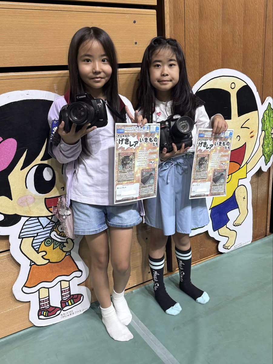 琉球新報☆りゅうちゃん【公式】 tweet media