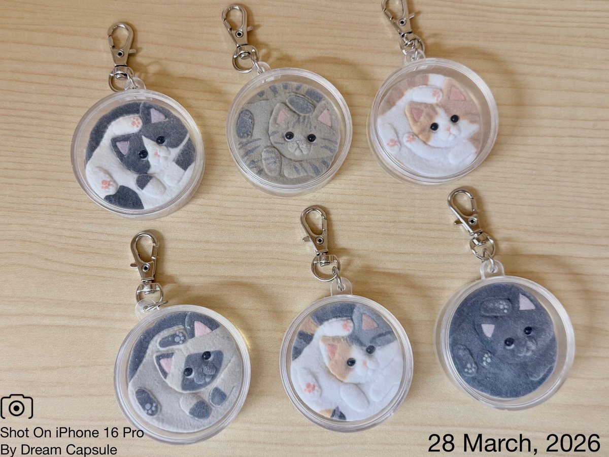 ドリームカプセルの中の人【公式】 tweet media