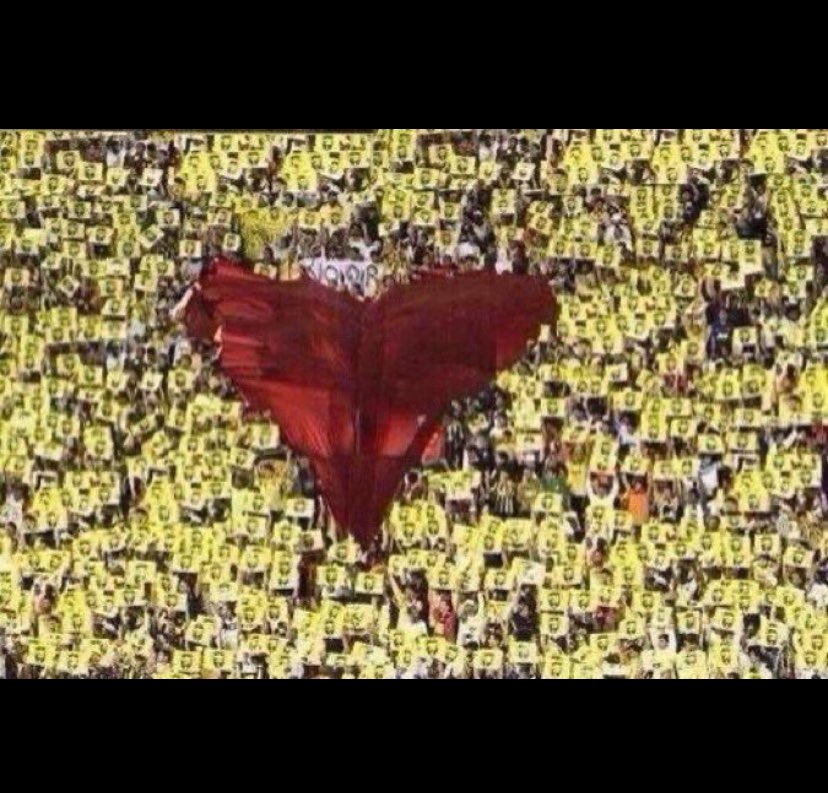 S🇸🇦 tweet media