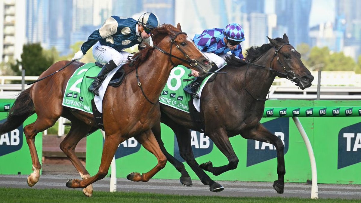 Jared Fish tweet media