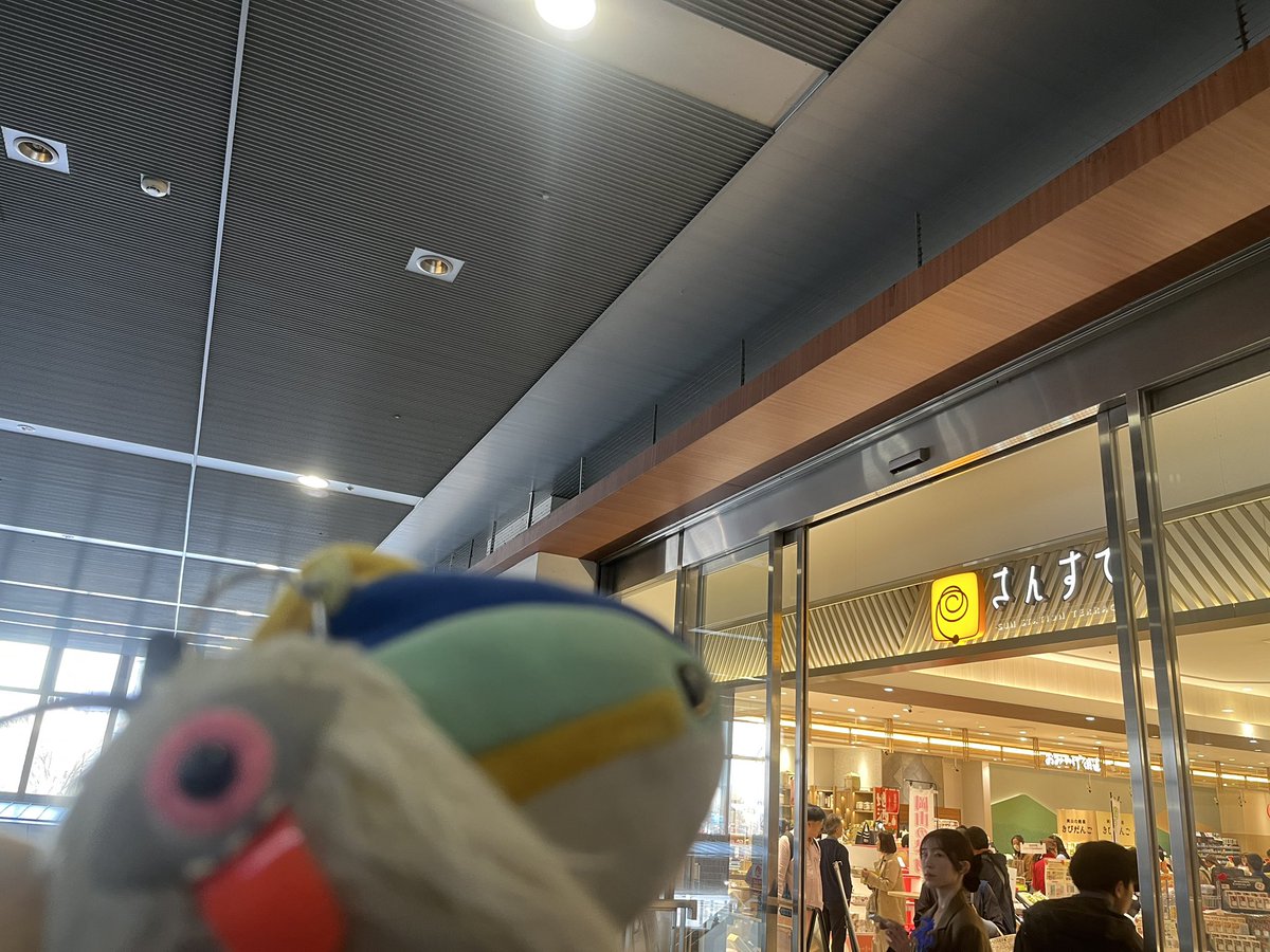 メイリン𝕏@筋トレ頑張る tweet media