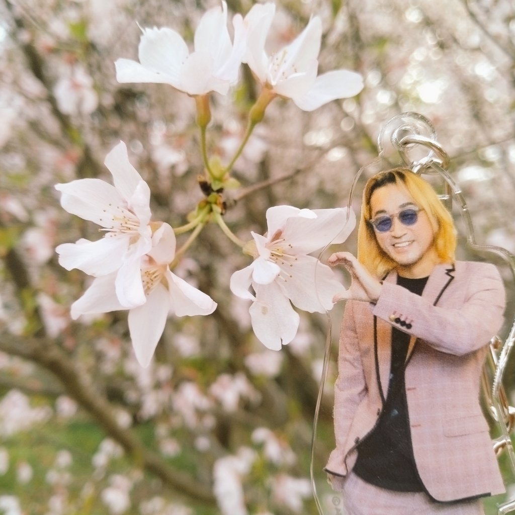 とめぴぃ tweet media