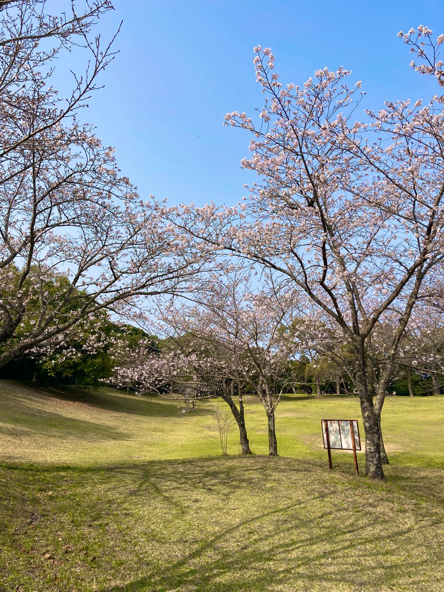 じゃむぽん tweet media