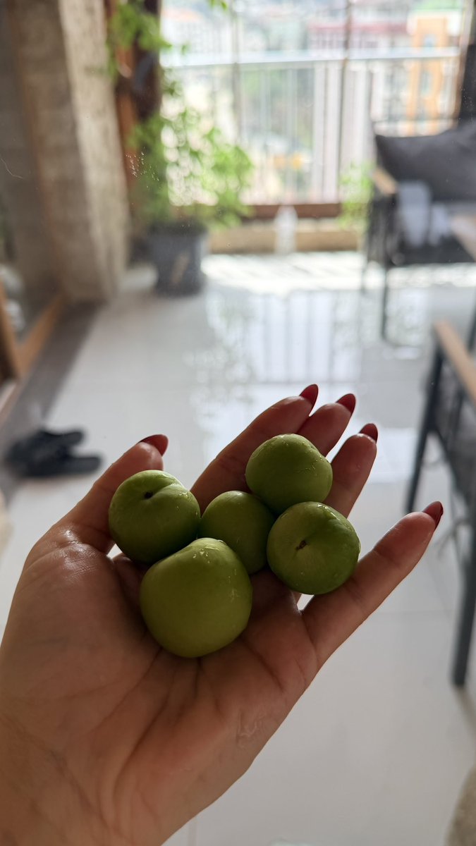 Hasibella tweet media