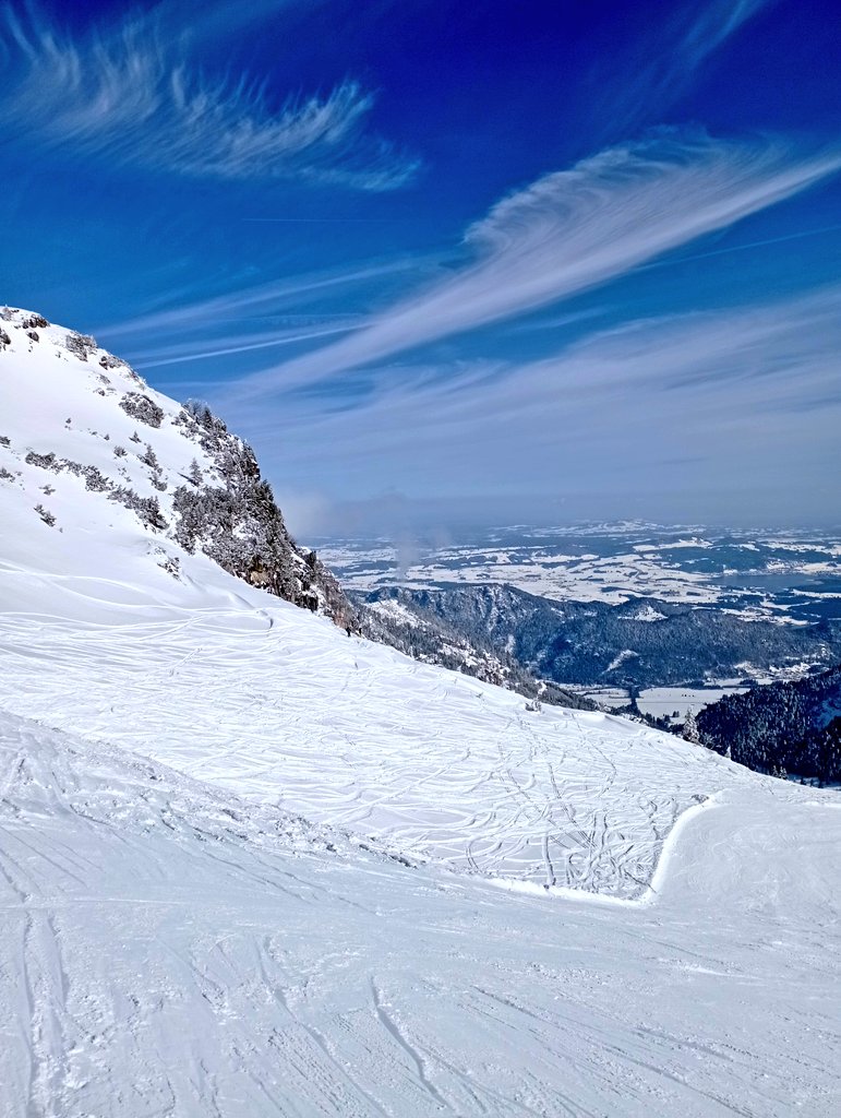 Liberty Hannes tweet media