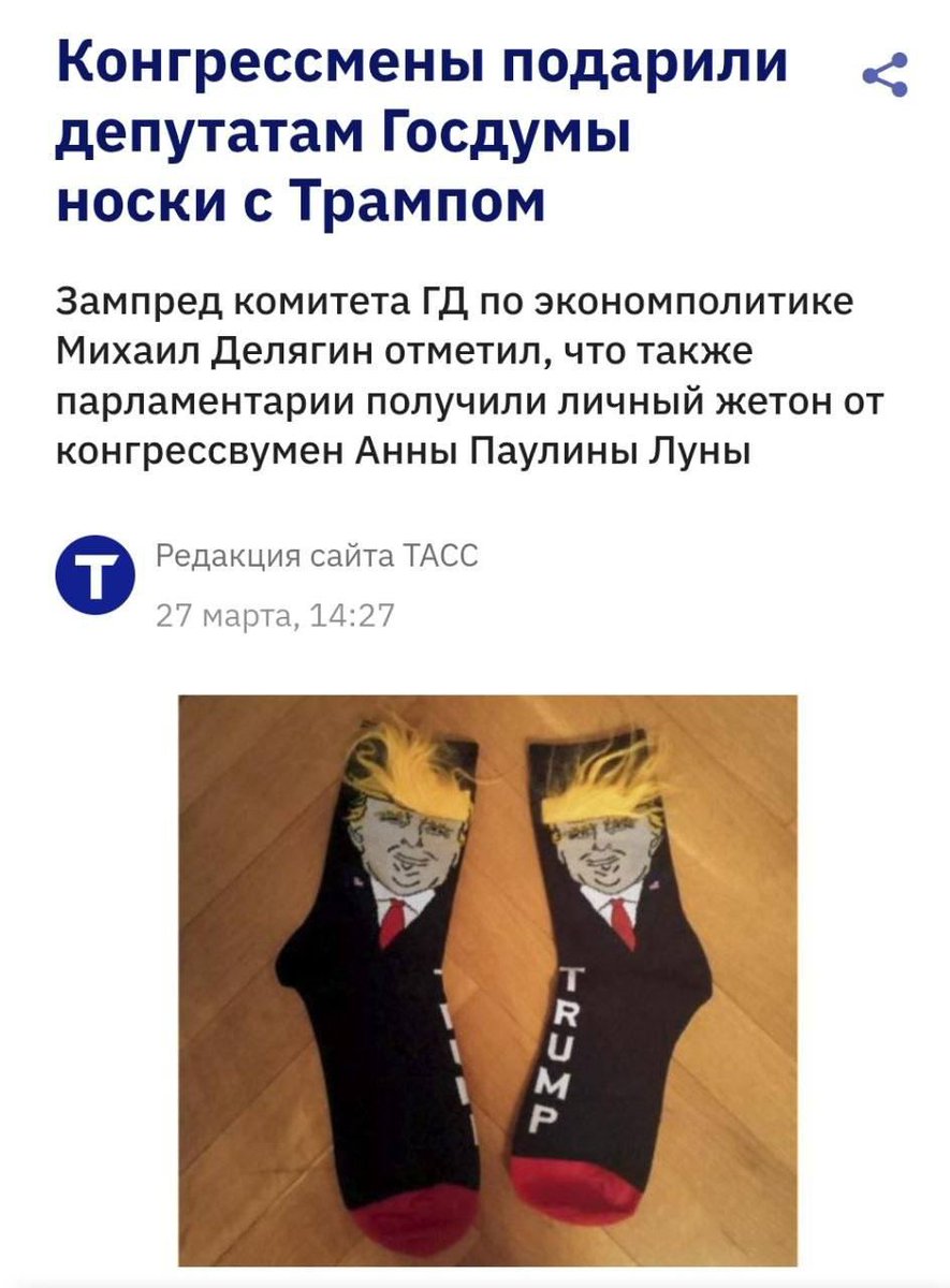 милый домашний кот tweet media