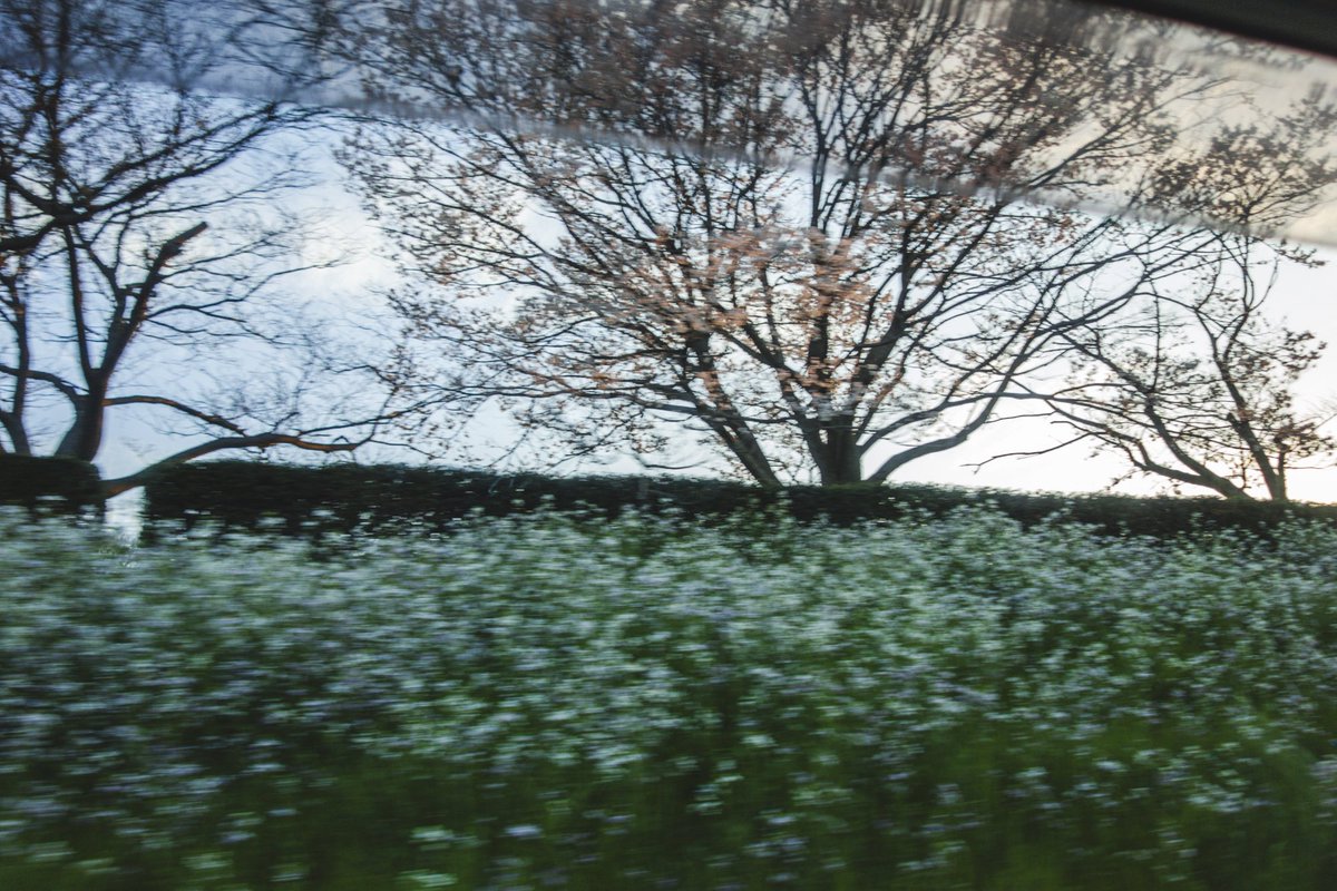 まくらあさみ tweet media