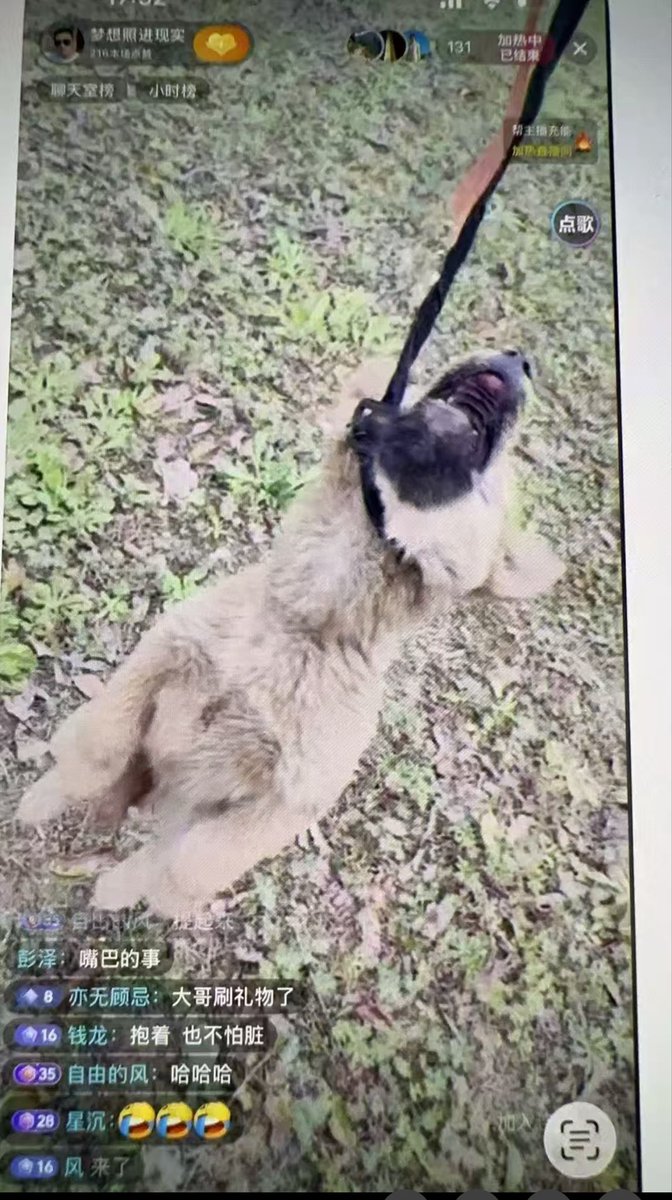 Nadia Mohammad tweet media