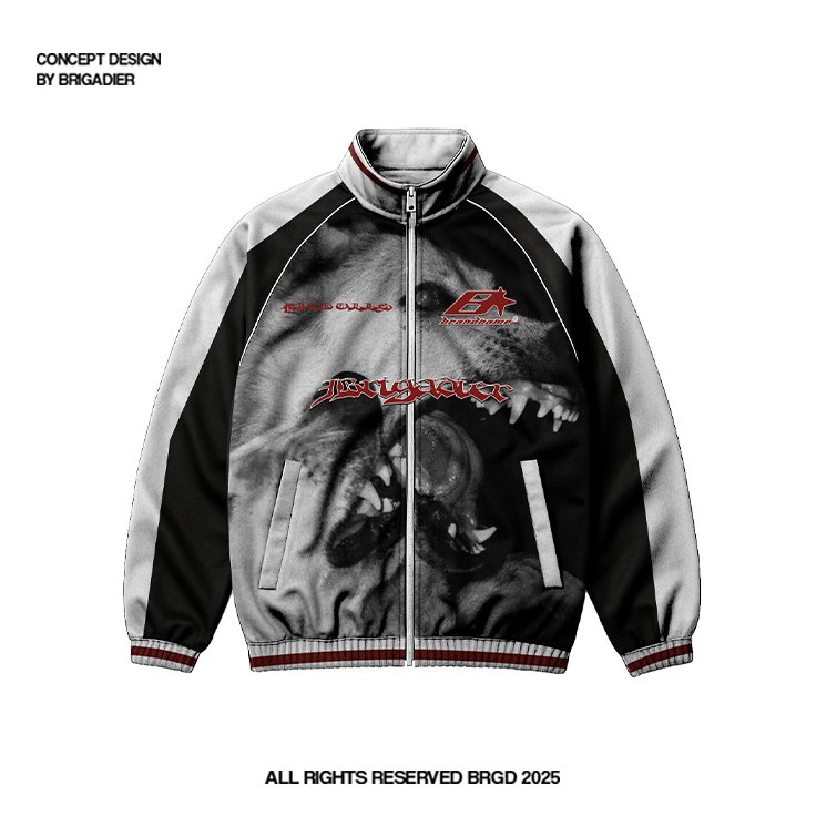 BRIGADIER 🪖⚔️💫 tweet media