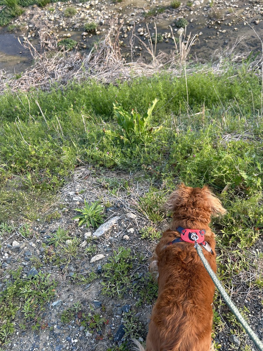 morijoker tweet media