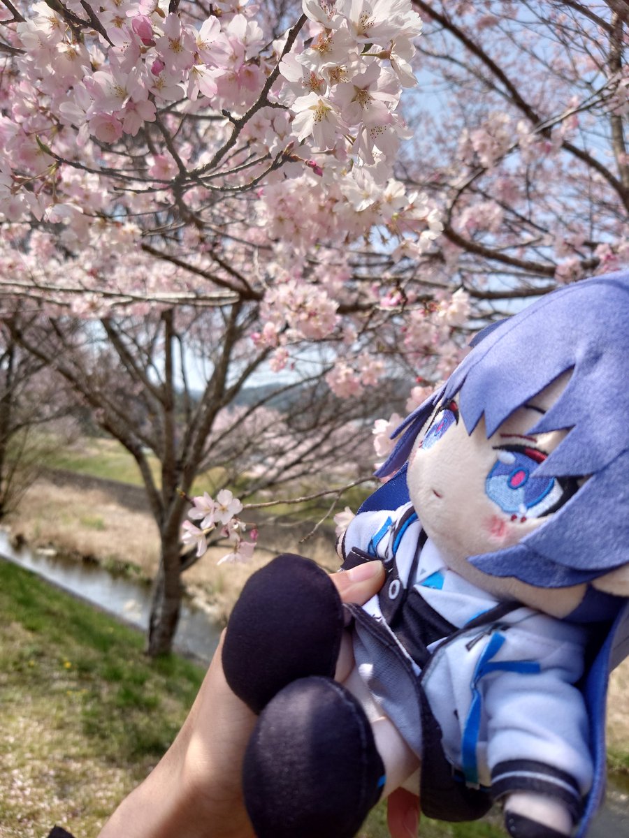 ノイン@痛天見学 tweet media